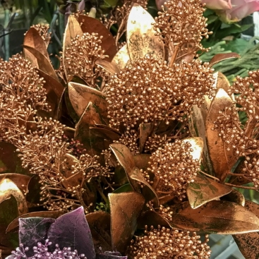 Скіммія фарбована