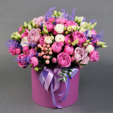 Composition in the box 