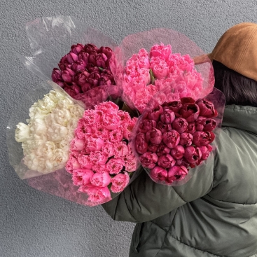 Квітка Тюльпан