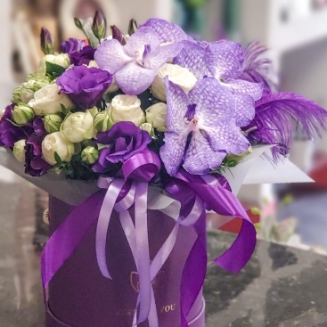 Composition with Vanda orchid