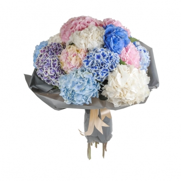 Bouquet of Hydrangea