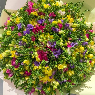 Букет із фрезій