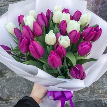 Букет із 25 тюльпанів мікс 