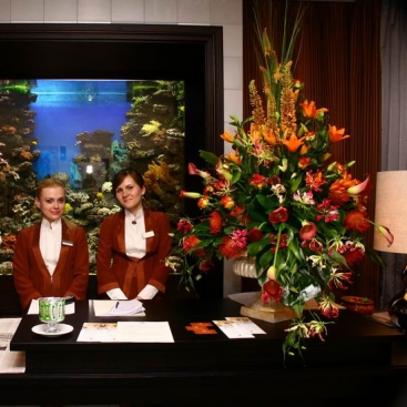 Оформлення залу 18