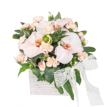 Composition with orchids 