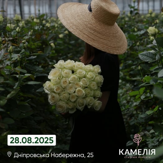 Відкриття магазину «Камелія» на Дніпровській набережній