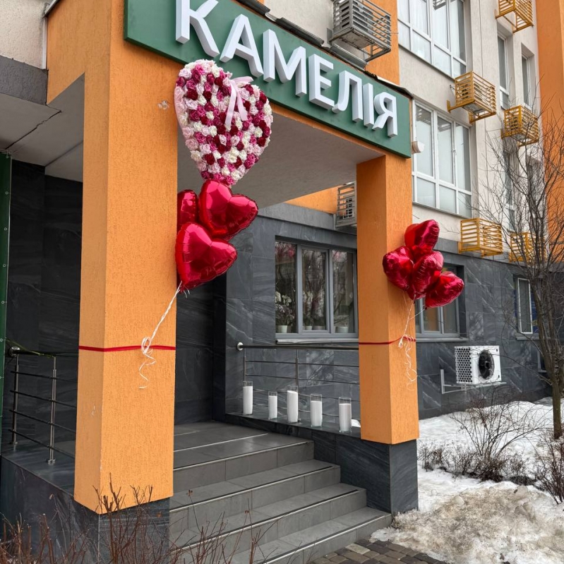 «Камелія» Нивки Парк стала більшою: тепер 2 входи поруч