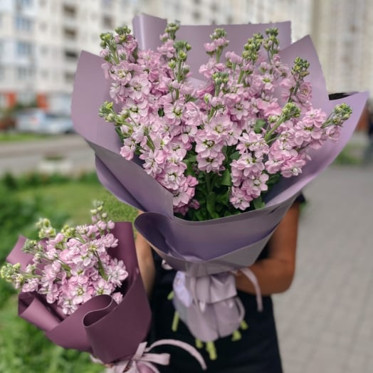 Week of discounts on imported flowers